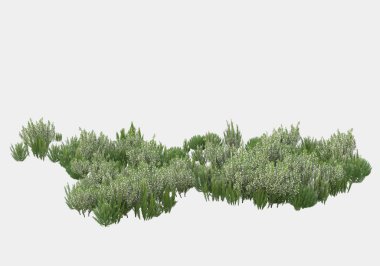 Gri arka planda çiçekli yabani otlar. 3d görüntüleme - illüstrasyon