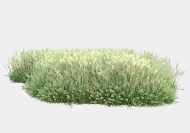 Gri arka planda çiçekli yabani otlar. 3d görüntüleme - illüstrasyon