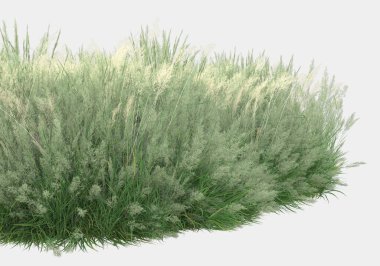 Gri arka planda çiçekli yabani otlar. 3d görüntüleme - illüstrasyon