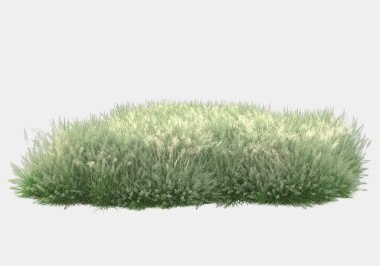 Gri arka planda çiçekli yabani otlar. 3d görüntüleme - illüstrasyon