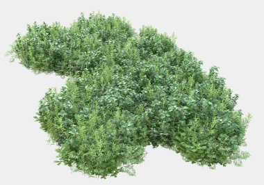 Gri arka planda izole edilmiş yabani ot ve çim. 3d görüntüleme - illüstrasyon