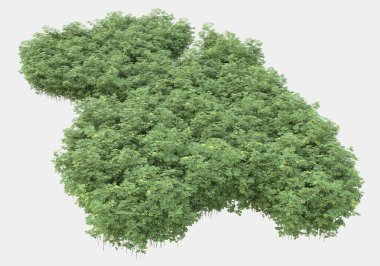 Gri arka planda izole edilmiş yabani ot ve çim. 3d görüntüleme - illüstrasyon