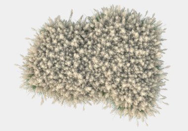 Gri arka planda izole edilmiş yabani ot ve çim. 3d görüntüleme - illüstrasyon