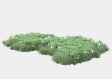 Gri arka planda izole edilmiş yabani ot ve çim. 3d görüntüleme - illüstrasyon