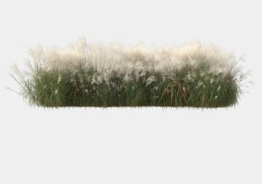Gri arka planda izole edilmiş yabani ot ve çim. 3d görüntüleme - illüstrasyon