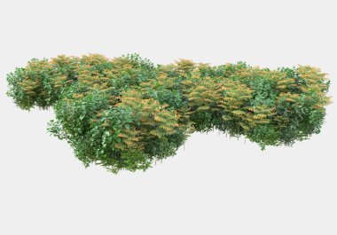 Gri arka planda izole edilmiş yabani ot ve çim. 3d görüntüleme - illüstrasyon