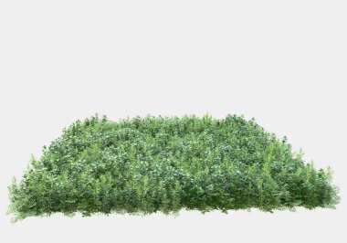 Gri arka planda izole edilmiş yabani ot ve çim. 3d görüntüleme - illüstrasyon