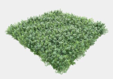 Gri arka planda izole edilmiş yabani ot ve çim. 3d görüntüleme - illüstrasyon