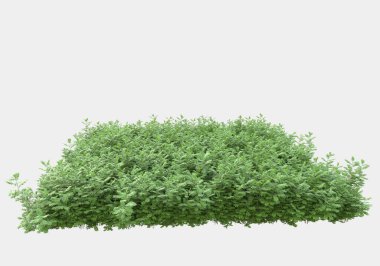 Gri arka planda izole edilmiş çalılar ve çiçekler adası. 3d görüntüleme - illüstrasyon