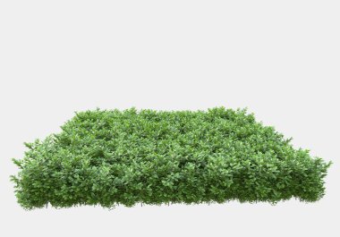 Gri arka planda izole edilmiş çalılar ve çiçekler adası. 3d görüntüleme - illüstrasyon