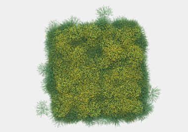 Gri arka planda izole edilmiş çalılar ve çiçekler adası. 3d görüntüleme - illüstrasyon