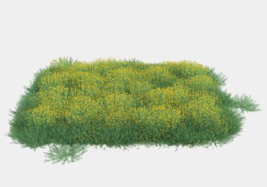 Gri arka planda izole edilmiş çalılar ve çiçekler adası. 3d görüntüleme - illüstrasyon