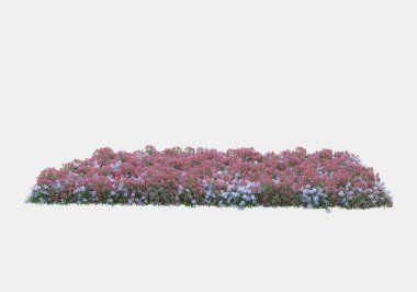 Gri arka planda izole edilmiş çalılar ve çiçekler adası. 3d görüntüleme - illüstrasyon