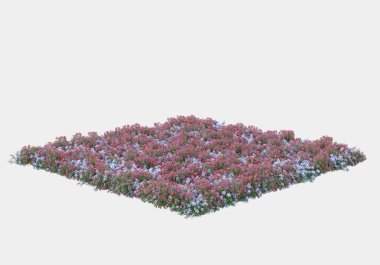 Gri arka planda izole edilmiş çalılar ve çiçekler adası. 3d görüntüleme - illüstrasyon