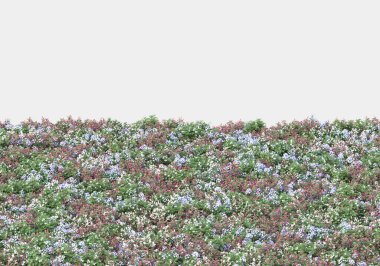 Gri arka planda izole edilmiş çalılar ve çiçekler adası. 3d görüntüleme - illüstrasyon