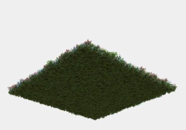 Gri arka planda izole edilmiş çalılar ve çiçekler adası. 3d görüntüleme - illüstrasyon