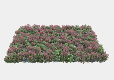 Gri arka planda izole edilmiş çalılar ve çiçekler adası. 3d görüntüleme - illüstrasyon