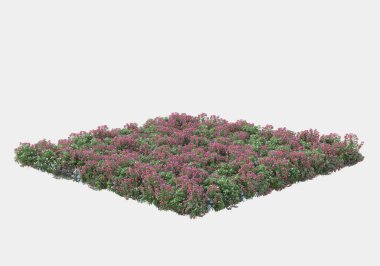 Gri arka planda izole edilmiş çalılar ve çiçekler adası. 3d görüntüleme - illüstrasyon