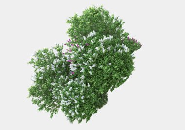 Gri arka planda izole edilmiş çalılar ve çiçekler adası. 3d görüntüleme - illüstrasyon