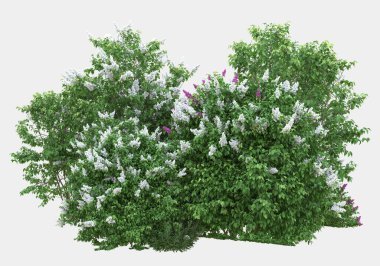 Gri arka planda çiçekli yabani otlar. 3d görüntüleme - illüstrasyon