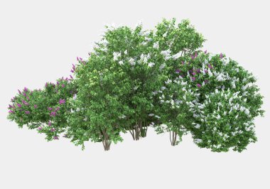 Gri arka planda çiçekli yabani otlar. 3d görüntüleme - illüstrasyon
