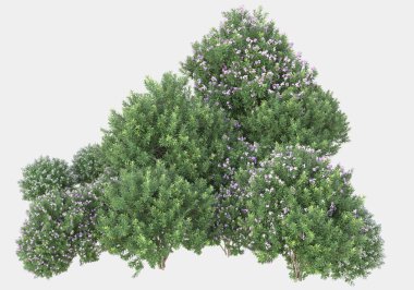Gri arka planda çiçekli yabani otlar. 3d görüntüleme - illüstrasyon