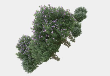 Gri arka planda çiçekli yabani otlar. 3d görüntüleme - illüstrasyon
