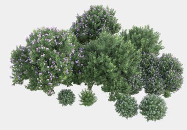 Gri arka planda çiçekli yabani otlar. 3d görüntüleme - illüstrasyon