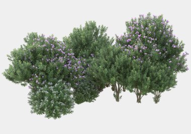 Gri arka planda çiçekli yabani otlar. 3d görüntüleme - illüstrasyon