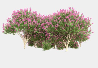 Gri arka planda çiçekli yabani otlar. 3d görüntüleme - illüstrasyon