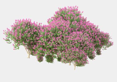 Gri arka planda çiçekli yabani otlar. 3d görüntüleme - illüstrasyon