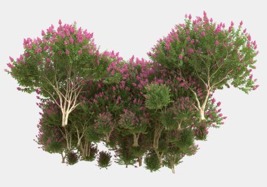 Gri arka planda çiçekli yabani otlar. 3d görüntüleme - illüstrasyon