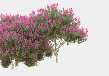 Gri arka planda çiçekli yabani otlar. 3d görüntüleme - illüstrasyon