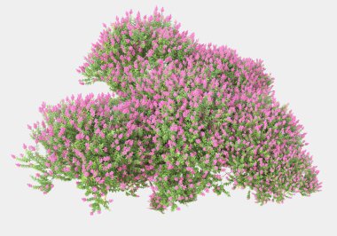 Gri arka planda çiçekli yabani otlar. 3d görüntüleme - illüstrasyon