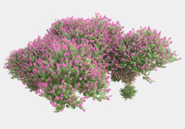 Gri arka planda çiçekli yabani otlar. 3d görüntüleme - illüstrasyon
