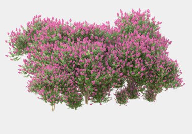 Gri arka planda çiçekli yabani otlar. 3d görüntüleme - illüstrasyon