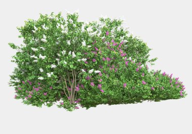 Gri arka planda çiçekli yabani otlar. 3d görüntüleme - illüstrasyon