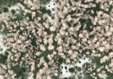 Gri arka planda çiçekli yabani otlar. 3d görüntüleme - illüstrasyon