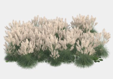 Gri arka planda çiçekli yabani otlar. 3d görüntüleme - illüstrasyon