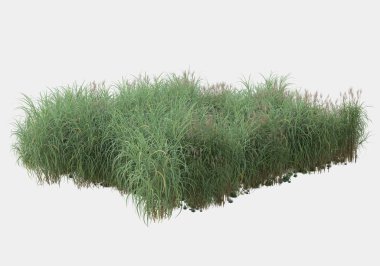 Gri arka planda çiçekli yabani otlar. 3d görüntüleme - illüstrasyon