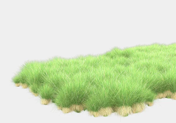 被灰色背景隔开的草岛 3D渲染 — 图库照片