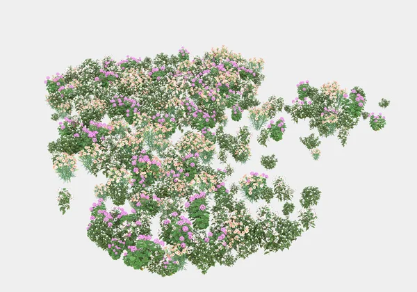 Gri Arka Planda Izole Edilmiş Çimen Adası Görüntüleme Illüstrasyon — Stok fotoğraf