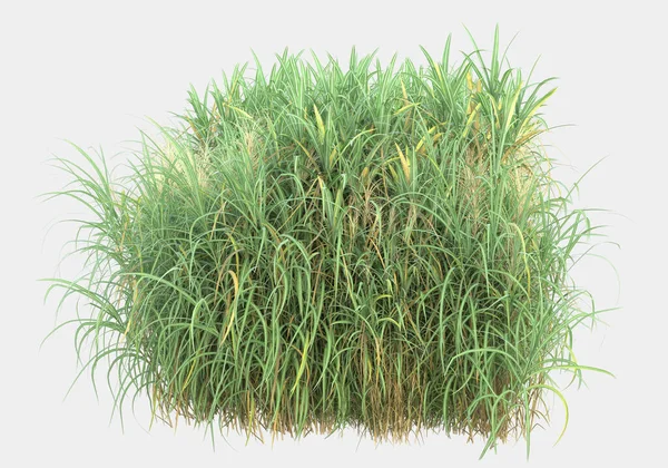 Gri arka planda izole edilmiş çimen adası. 3d görüntüleme - illüstrasyon