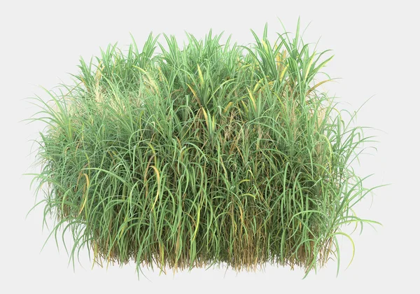 Gri arka planda izole edilmiş çimen adası. 3d görüntüleme - illüstrasyon