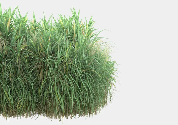 Gri arka planda izole edilmiş çimen adası. 3d görüntüleme - illüstrasyon