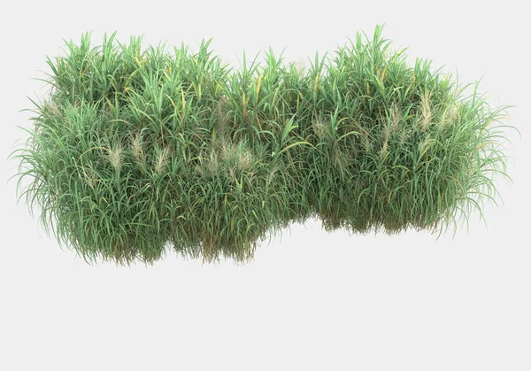 Gri arka planda izole edilmiş çimen adası. 3d görüntüleme - illüstrasyon