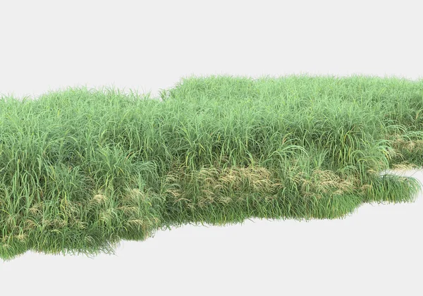 Gri arka planda izole edilmiş çimen adası. 3d görüntüleme - illüstrasyon