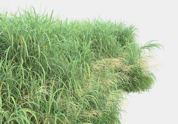 Gri arka planda izole edilmiş çimen adası. 3d görüntüleme - illüstrasyon