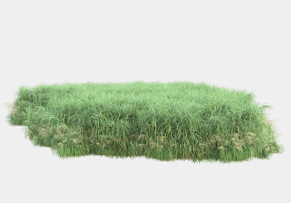 Island Grass Isolated Grey Background Rendering Illustration — Stock Photo, Image