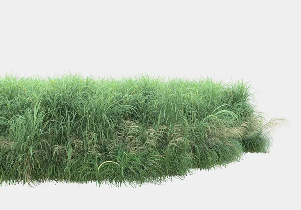 Gri arka planda izole edilmiş çimen adası. 3d görüntüleme - illüstrasyon